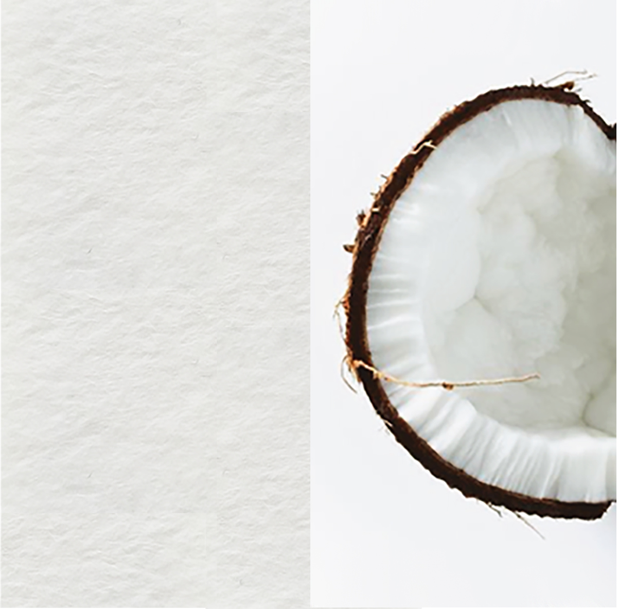 01 Coconut ARCHIPHONIC colour