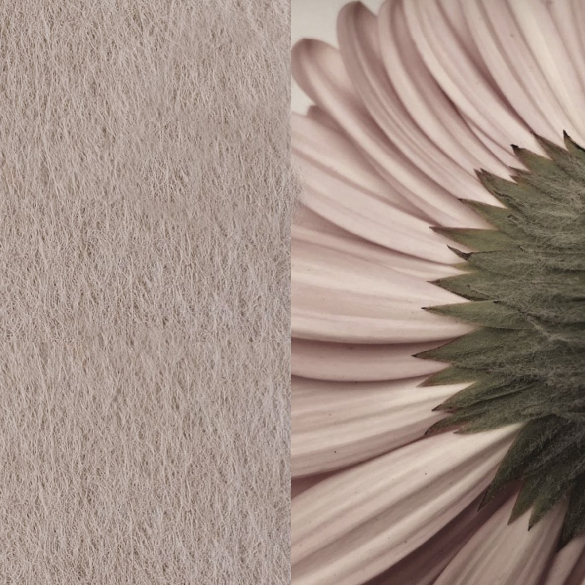 06 Powdery ARCHIPHONIC colour