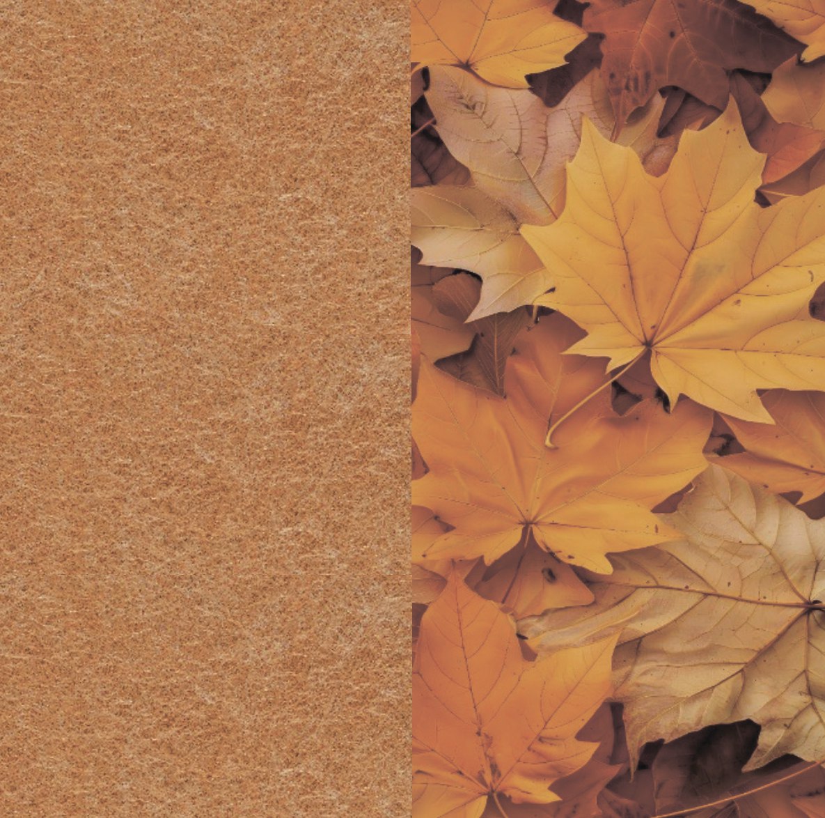 12 Autumn ARCHIPHONIC colour