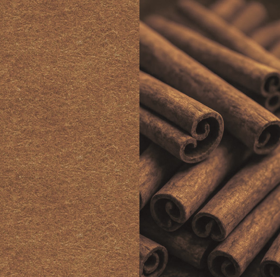 13 Cinnamon ARCHIPHONIC colour