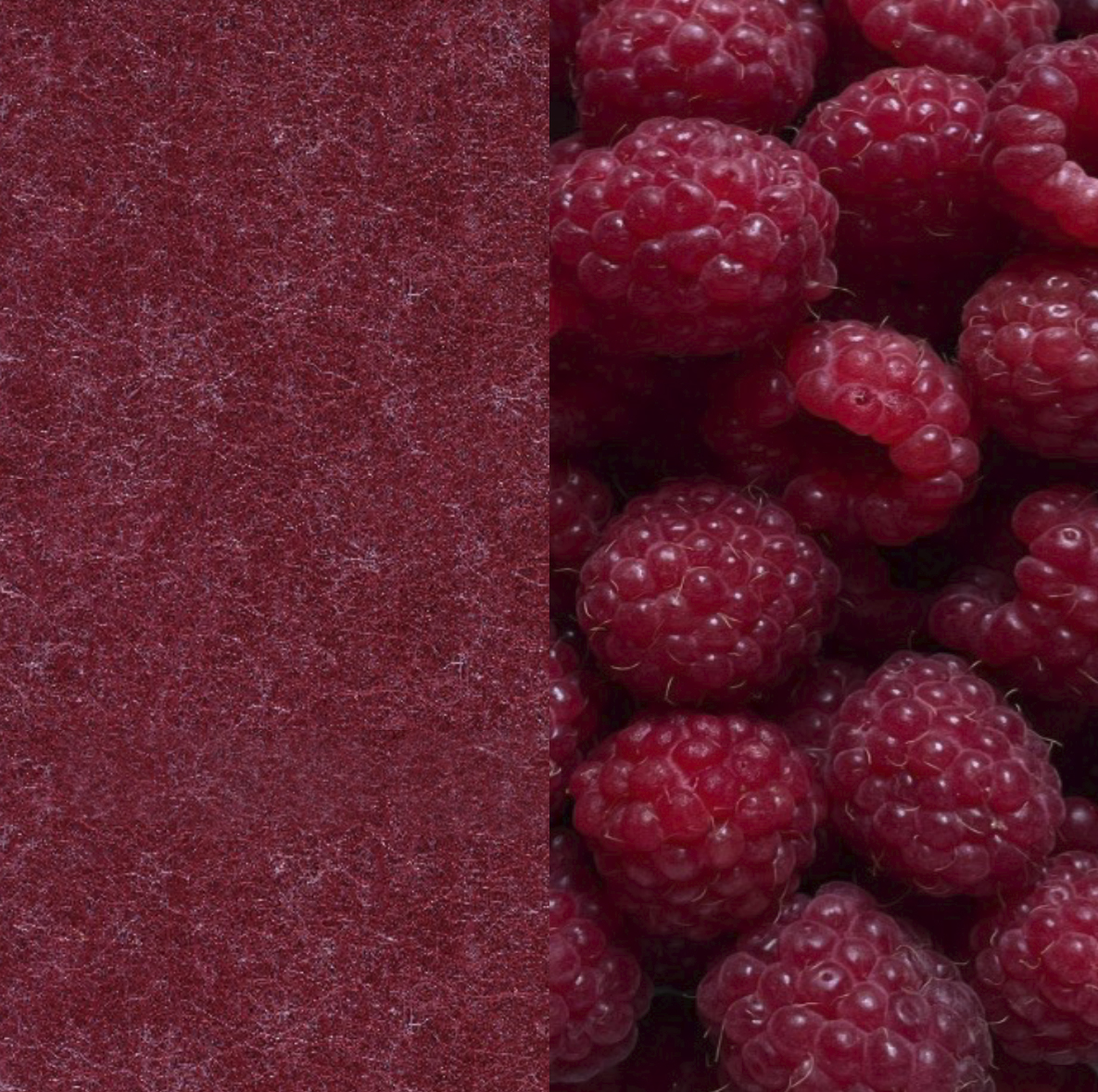 15 Raspberry ARCHIPHONIC colour