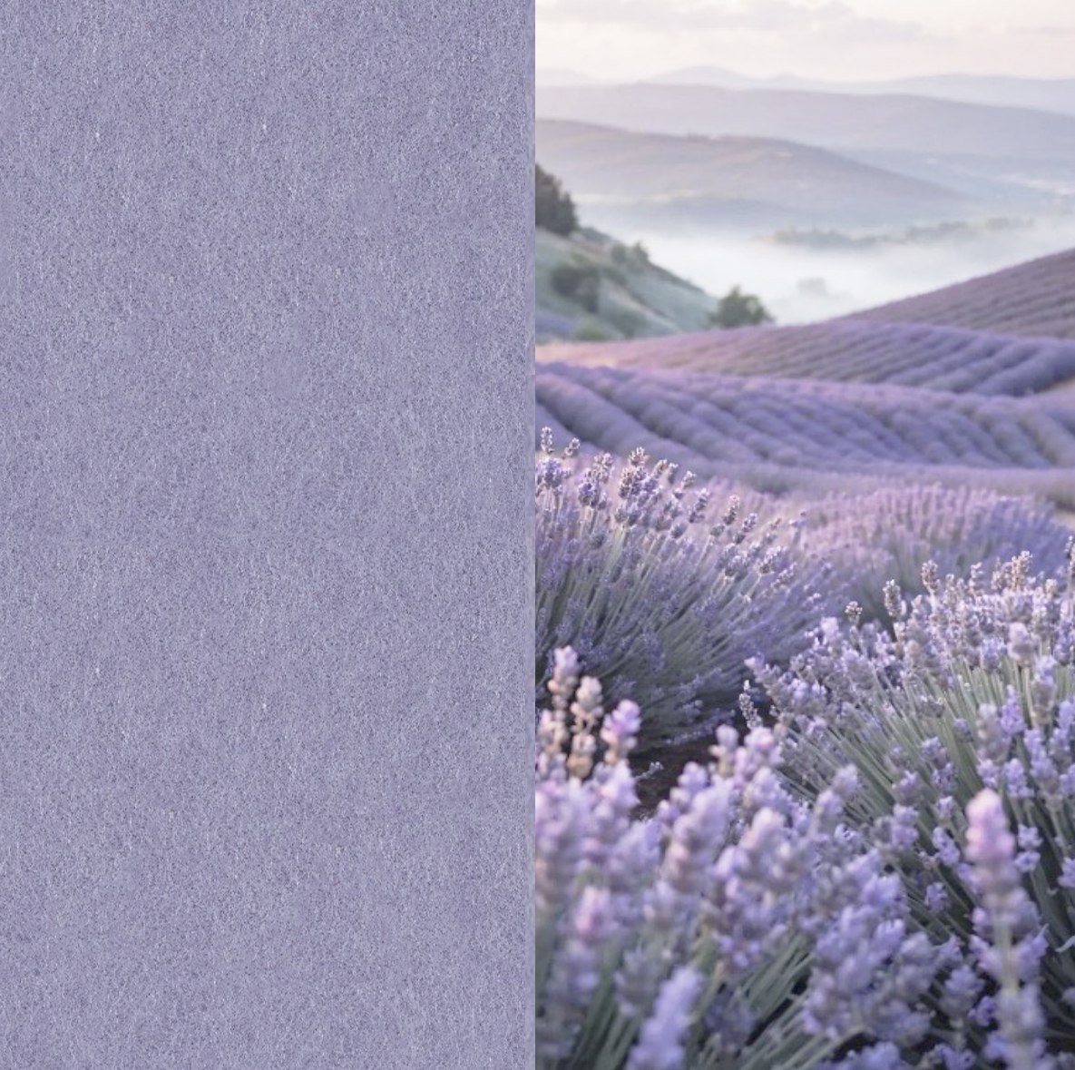 16 Lavender ARCHIPHONIC colour