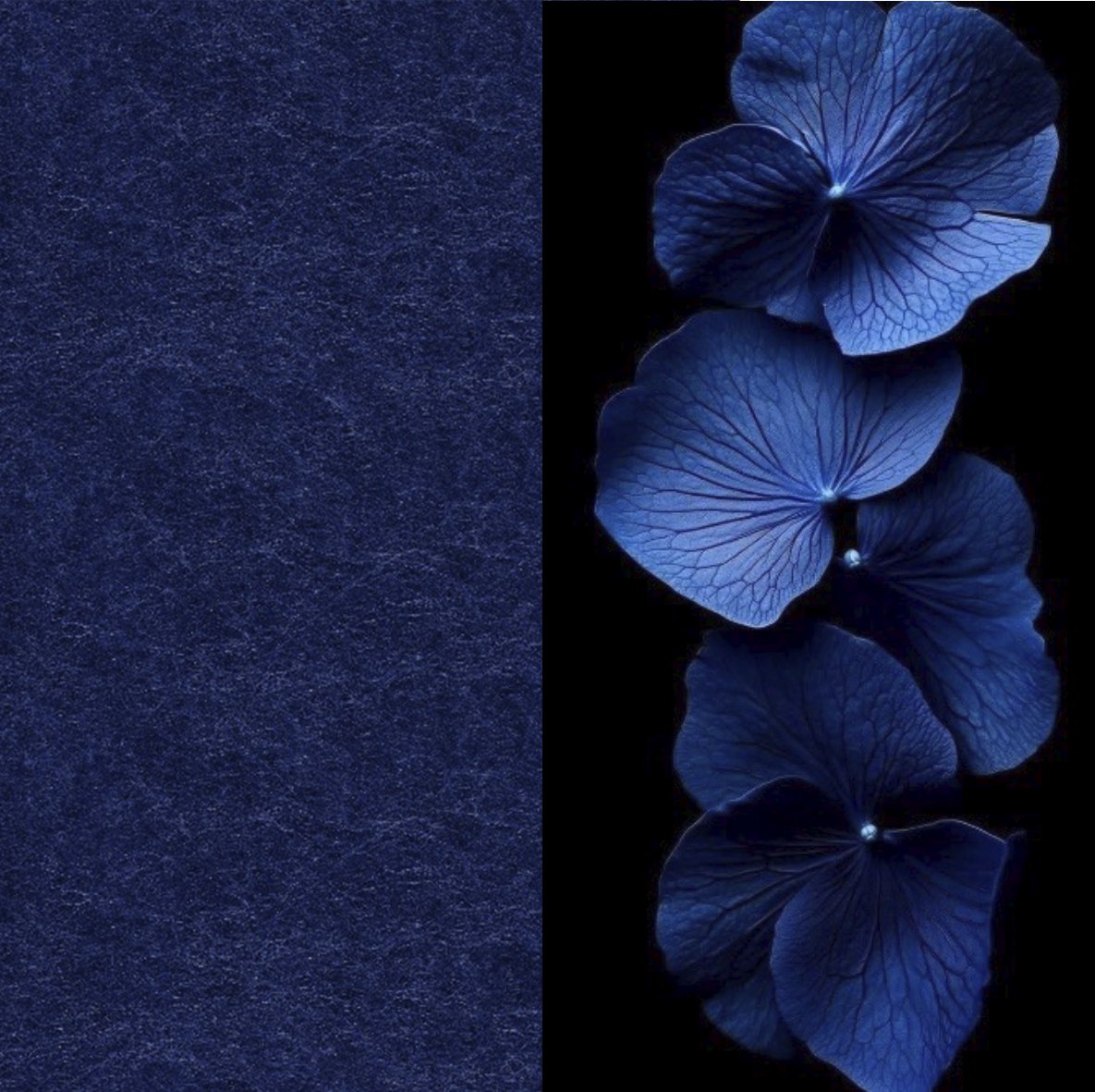22 Indigo ARCHIPHONIC colour