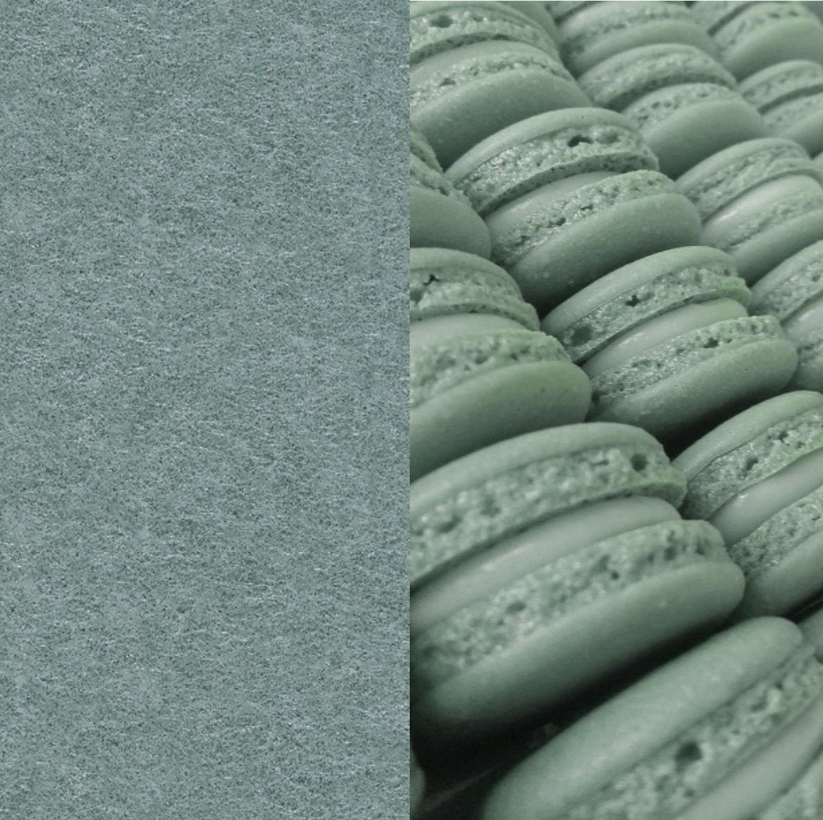 24 Macarons ARCHIPHONIC colour