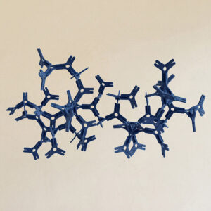 GENETICA